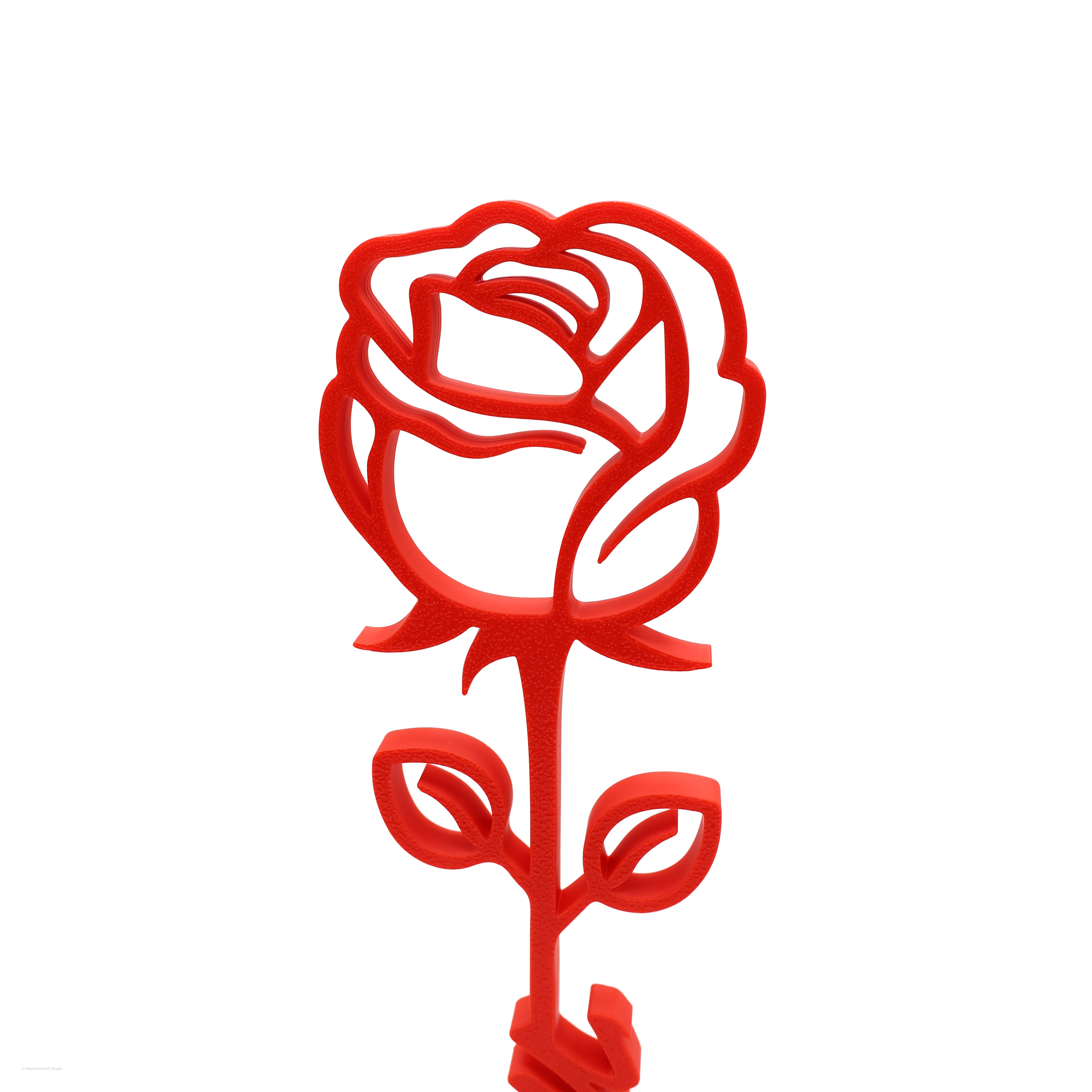 Rosa Eterna de Presente para a Mãe